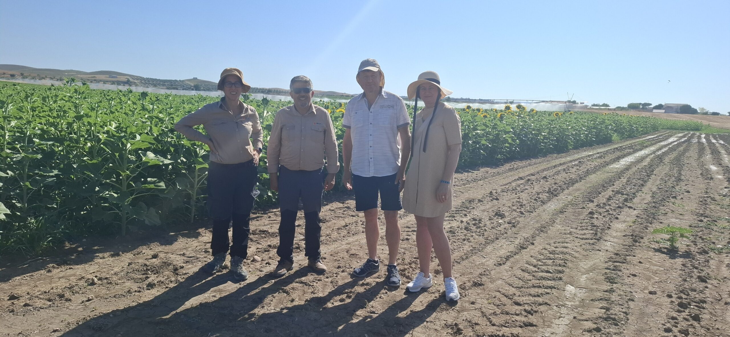 Mediterranean Solutions to Hungarian Challenges